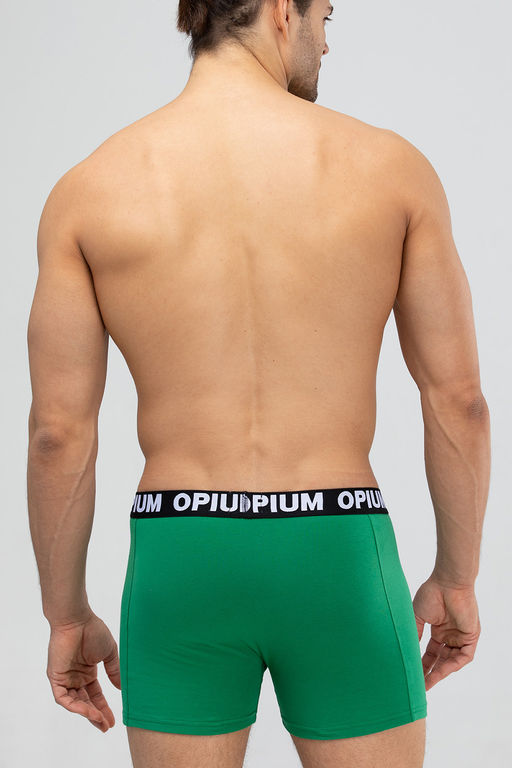 Мужские трусы R-152 Green