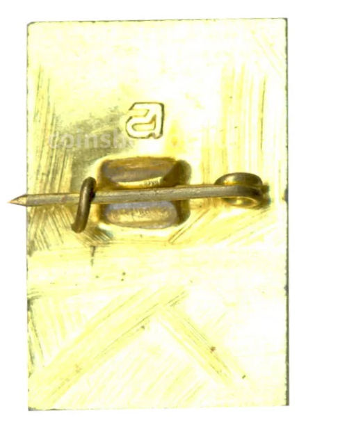 Значок Петродворец