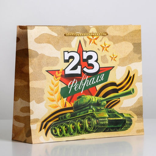 Цена за 2 шт. Пакет подарочный ламинированный, упаковка, «С 23 февраля», ML 25×21×8 см