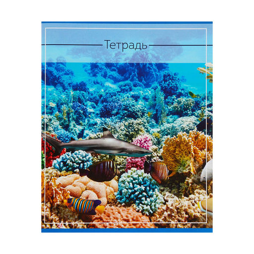 Комплект тетрадей из 5 шт (4 разные + 1 повторяющаяся МИКС), 36 листов, клетка, Океан, обложка мелованная бумага, блок №2, белизна 75% (серые листы) - Calligrata фото 8