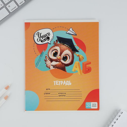 Тетрадь 12 листов в частую косую линейку Учись на 5+, обложка мелованный картон, блок №1, 5 видов МИКС - Artfox study фото 5