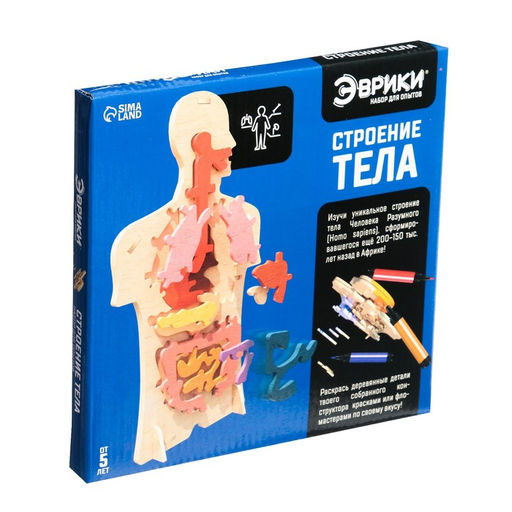 Набор для опытов Строение тела, 24 элемента - Эврики фото 6