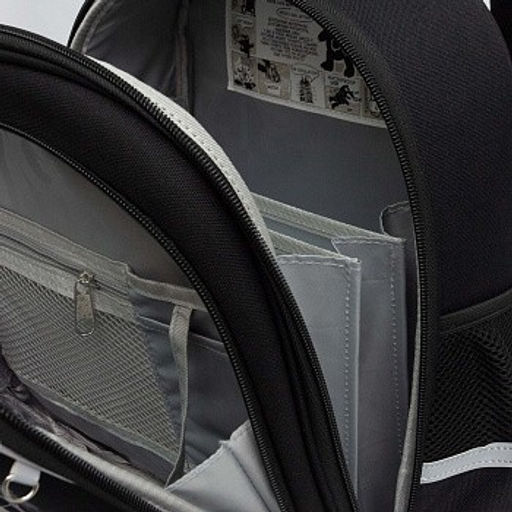 RAz-587-6 Рюкзак школьный - Grizzly фото 27