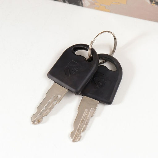 Шкатулка книга - сейф «Портрет девушки. Золото», дерево, кожзам, 27×18×7 см