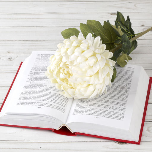 Цветок искусственный Хризантема 73 см / GT41-7 /уп 170/680/ - ГалеонТрейд фото 7