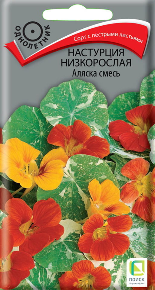 Настурция низкорослая Аляска смесь (ЦВ) (1) 1гр. - Поиск фото 2