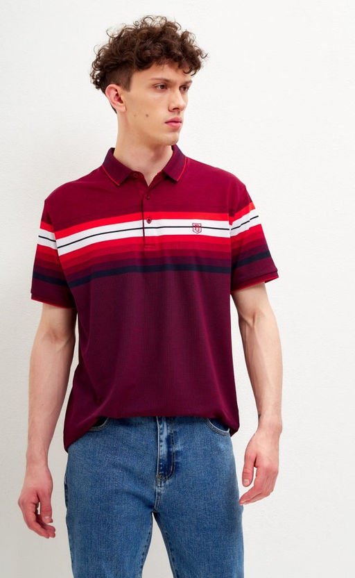 Футболка-поло мужская в полоску F311-07-601 бордовая
