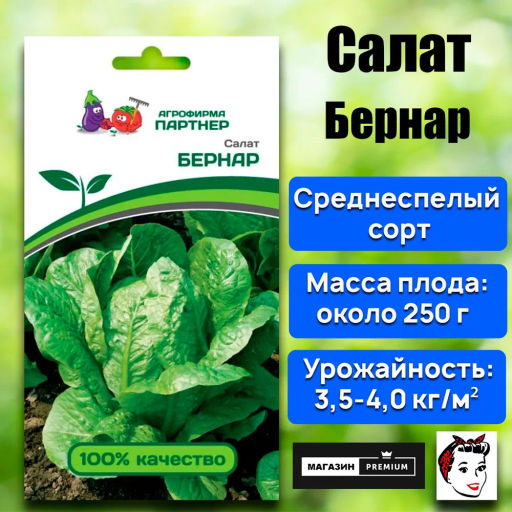 Салат кочанный Бернар - Партнер фото 2