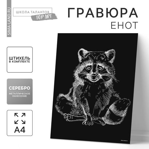 Цена за 3 шт. Гравюра на подложке «Енот» с металлическим эффектом «серебро» А4