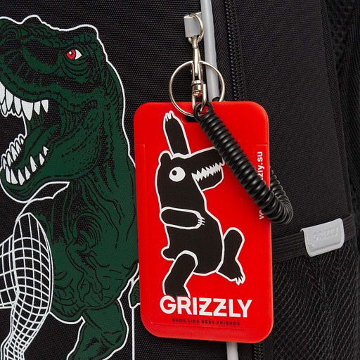 RAw-497-10 Рюкзак школьный - Grizzly фото 36