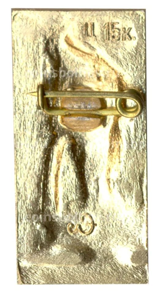 Значок Петродворец