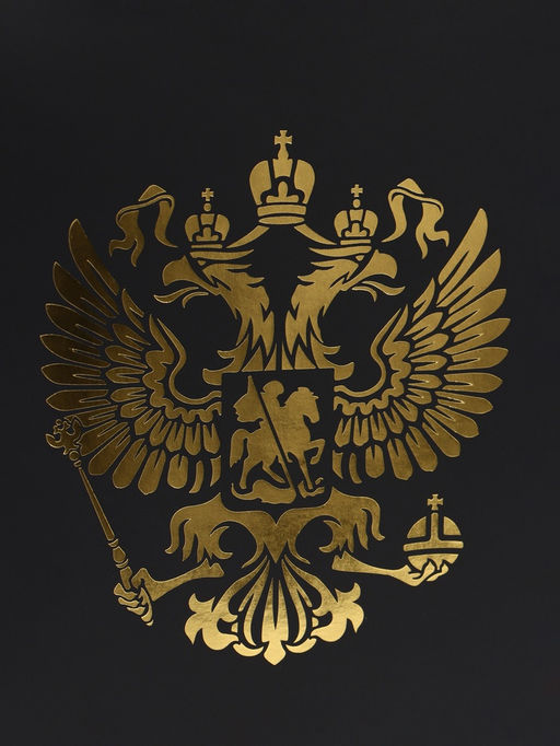 Пакет подарочный, упаковка, «Герб России», 32×26×12 см