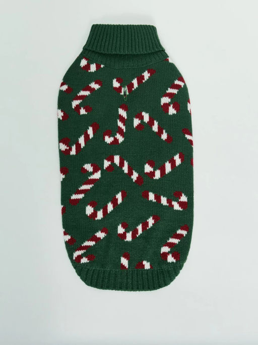 Свитер для питомца с принтом / Zarina
