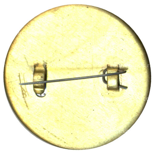 Значок Ростов -на -Дону