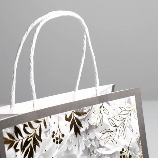 Пакет подарочный крафтовый, упаковка, «Dreams», 22 х 22 х 11 см