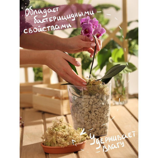 Мох Рецепты Дедушки Никиты 1,5 л  фото 4