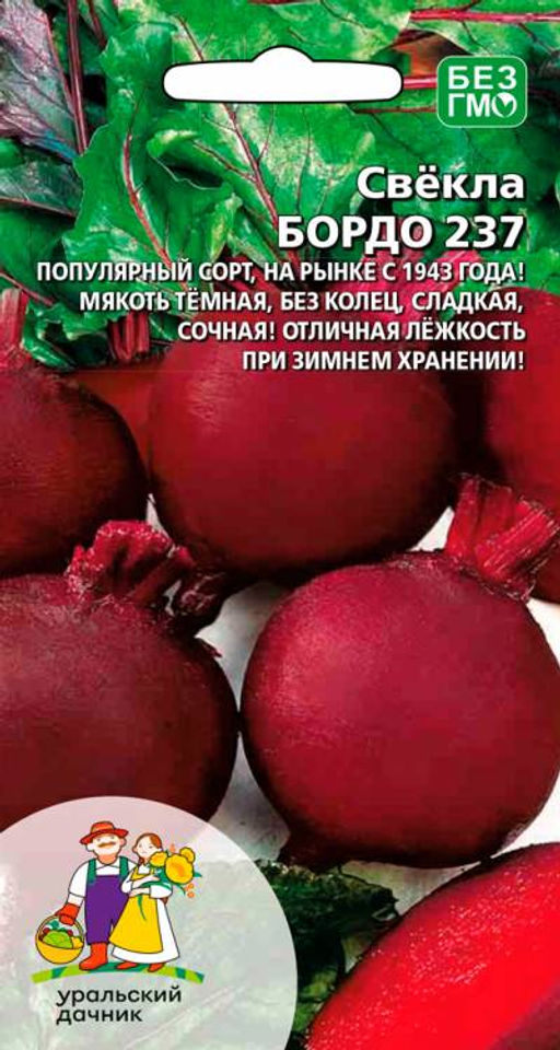 Свёкла БОРДО 237 популярный сорт, на рынке с 1943 года! Мякоть тёмно-бордовая, без колец, сочная и сладкая! Хранится на ура!