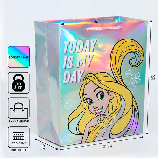 Пакет голография, горизонтальный, 25 х 21 х 10 см Today is my day, Принцессы - Disney фото 5