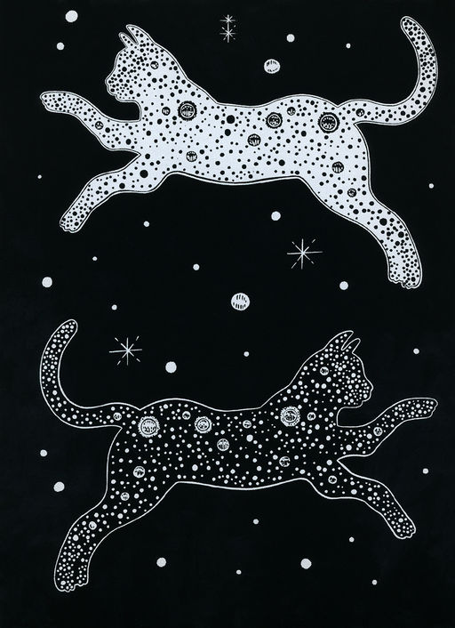 Hobbius GHPB-06 Набор для творчества Гравюра-блокнот 14 x 20 см Космический кот  фото 7