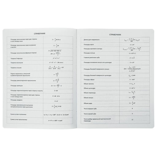 Дневник школьный для 1-11 классов Oxford, твёрдая обложка, искусственная кожа, термотиснение, ляссе, 48 листов