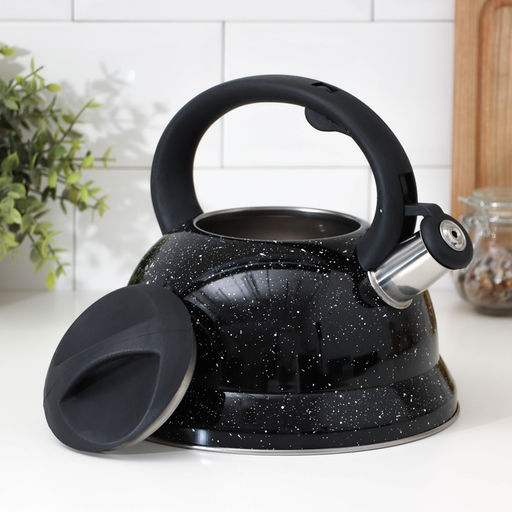 Чайник со свистком Доляна «Рио», 2.8 л, чёрный