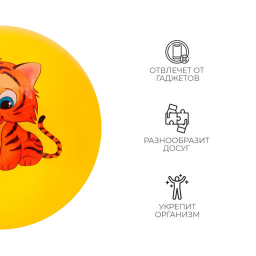 Мяч детский ZABIAKA Тигруля, d=22 см, 60 г, цвет МИКС  фото 7