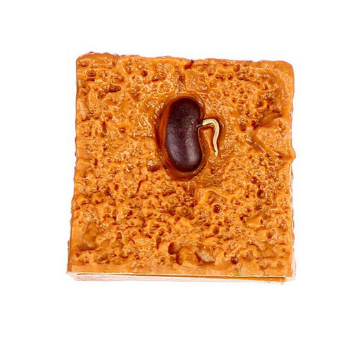 Обучающий набор Этапы развития семечка 4 фигурки - Simaland фото 2