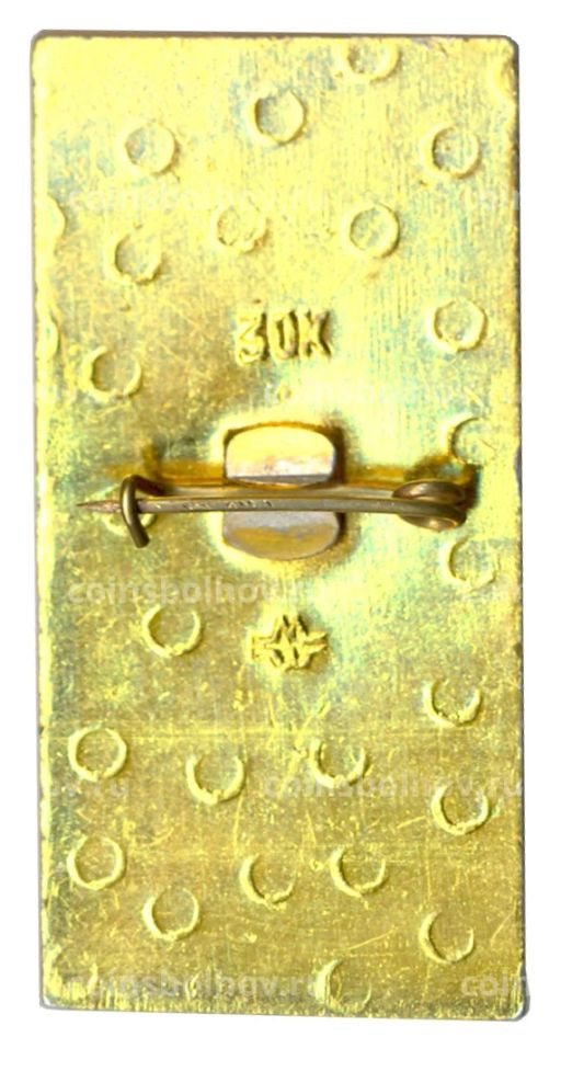 Значок Воины России Летчик