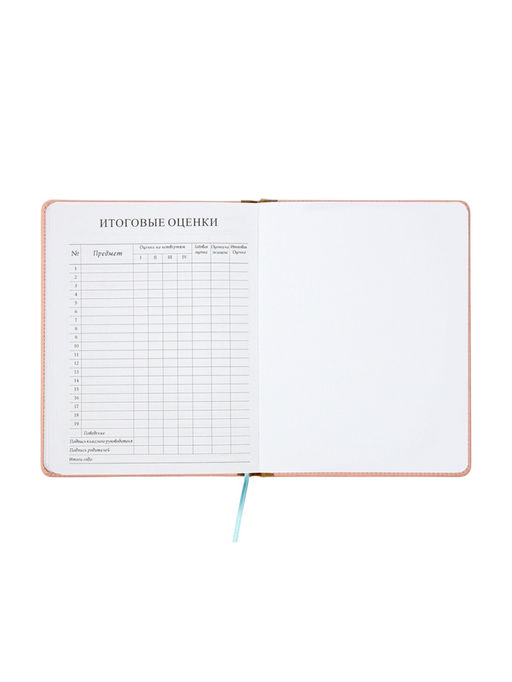 Дневник школьный 1-11 класс, лассе, обложка искуственная кожа бежевая, резинка для ручки