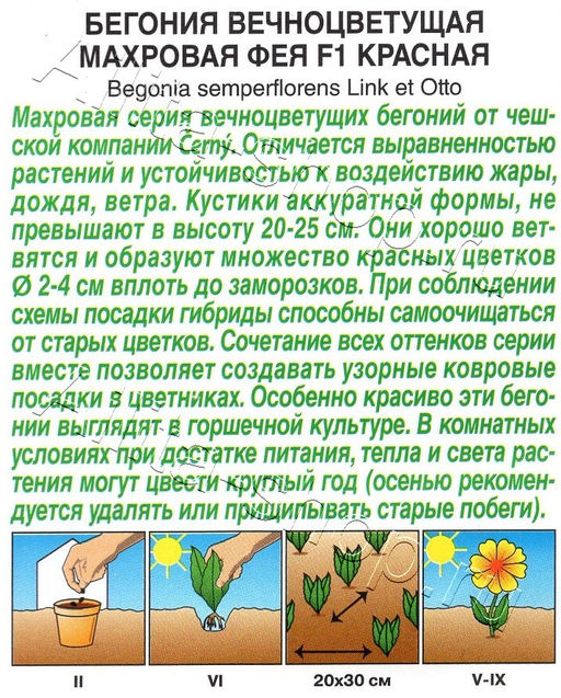 Бегония Фея F1 вечноцветущая махровая красная 5шт. (Аэлита)