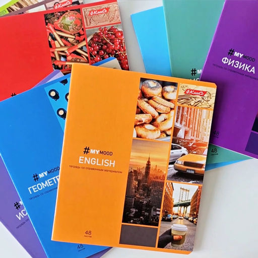 Светоч 48ТПСКд5_0_2_1 Тетрадь со справочным материалом Доска желаний, A5 48 л. на скобе 60 г/кв.м , белизна 90 % 10 шт. , клетка 000520 Информатика фото 8