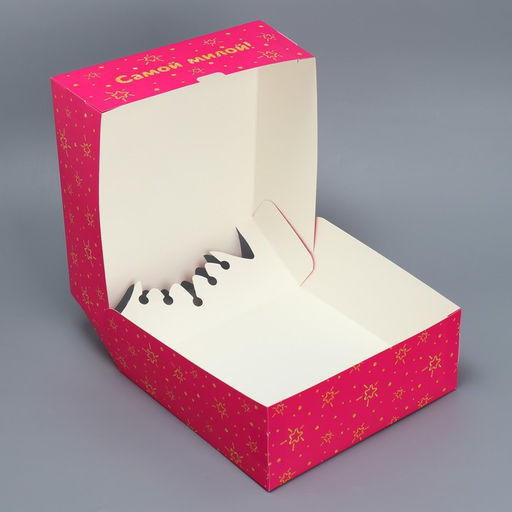 Коробка подарочная складная, упаковка, «Котик», 25 х 25 х 10 см