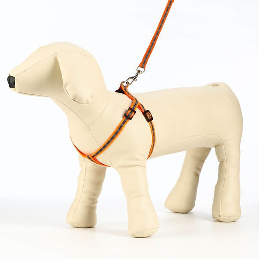 Комплект светоотражающий Косточки, ошейник 120 х 1 см, ОШ 24-40 см, ОГ 24-40 см оранжевый - Пижон фото 4