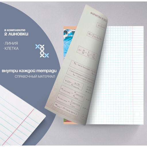 Тетради предметные Calligrata «Мрамор светлый», 10 предметов, 48 листов, со справочным материалом, обложка из мелованного картона