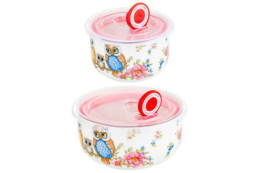 Набор 2 салатников - 13*13*6,5 см 560 мл+10,5*10,5*6 см 260 мл Совушки с плас.крыш. NEW BONE CHINA - Elan gallery фото 7