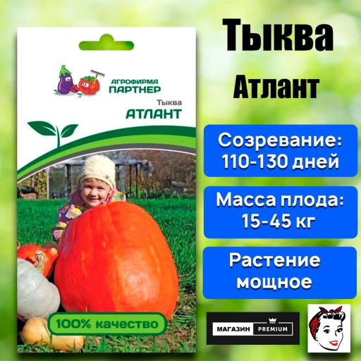 Тыква Атлант - Партнер фото 5
