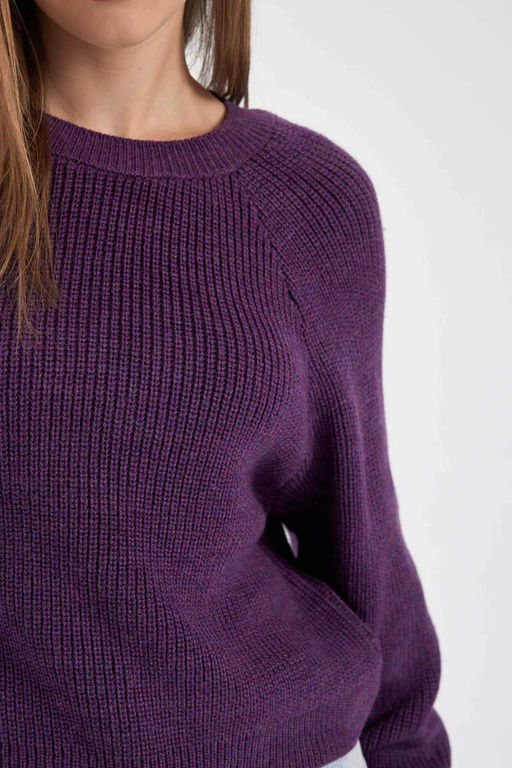 Крутой свитер стандартной посадки с круглым вырезом - Defacto фото 6