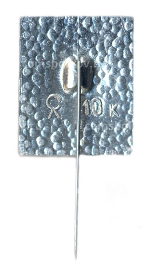 Значок Летний дворец Петра I