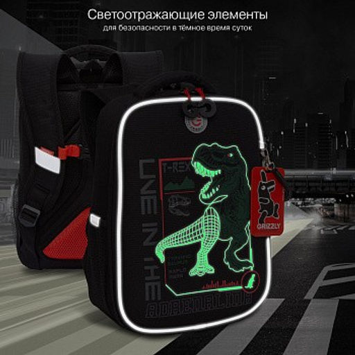 RAw-497-10 Рюкзак школьный - Grizzly фото 17