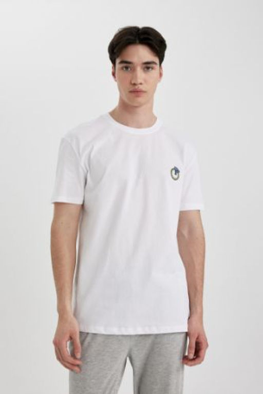 Regular Fit Bisiklet Yaka Bask?l? K?sa Kollu Ust