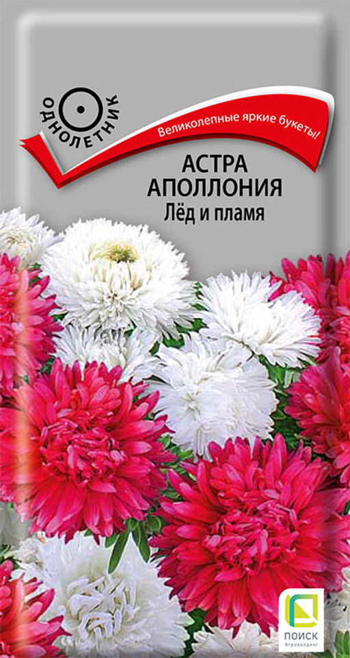 Астра (однолетняя) Аполлония Лёд и пламя (ЦВ) ("1) 0,3гр