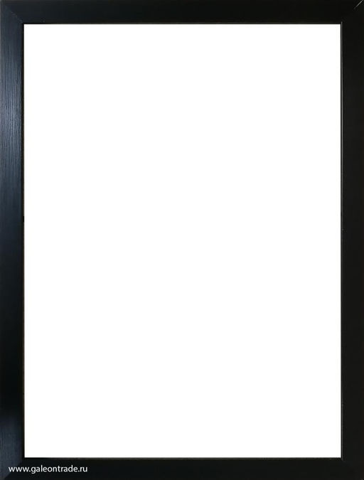 Рамка для картины на холсте 30х40 / ZR208B-208 /