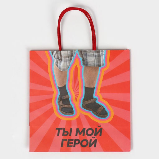 Пакет подарочный, упаковка, Герой, 22?22?11 см