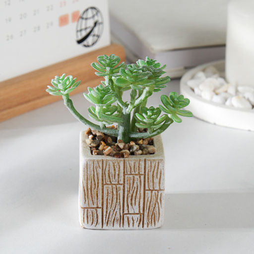 Цветочная композиция Кактус / WER-15 /уп 12/288/ микс - Галеонтрейд фото 3