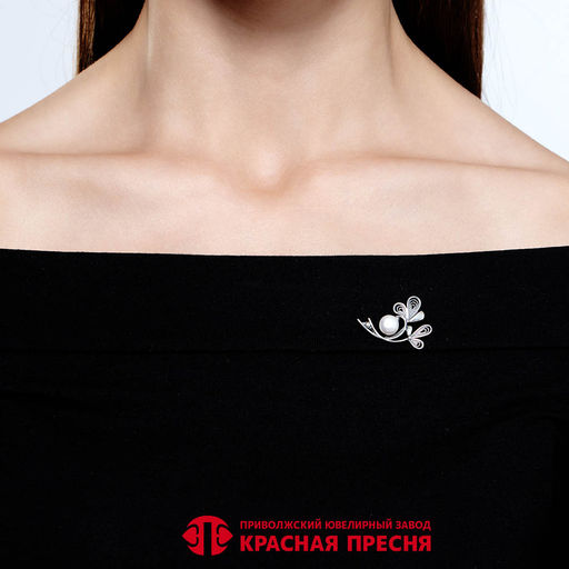БРОШЬ 13315888