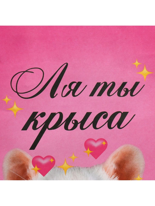 Цена за 2 шт. Пакет подарочный, упаковка, Ля ты, 22?22?11 см