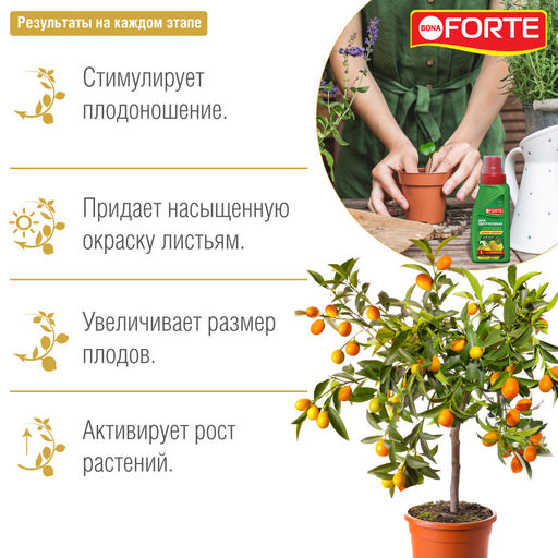 Компл. мин. удобр. "Bona Forte Красота" Для цитрусовых растений фл.285мл