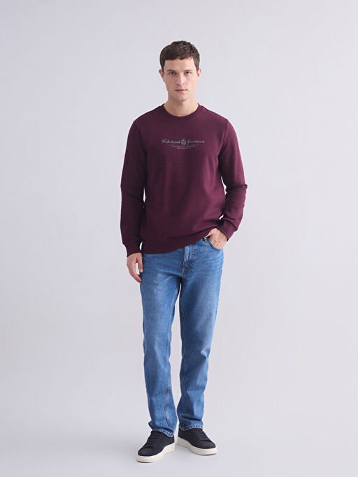 Standart Kal?p Bisiklet Yaka Bask?l? Erkek Kal?n Sweatshirt