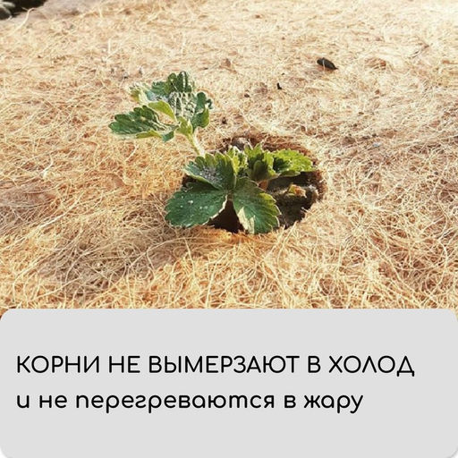 Мульча кокосовая в рулоне, 3×0.75 м, Greengo