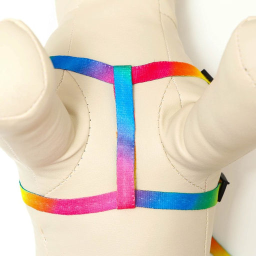 Комплект Радуга, капрон, поводок 120 х 1 см, ОГ 24-34 см, разноцветный - Пижон фото 5